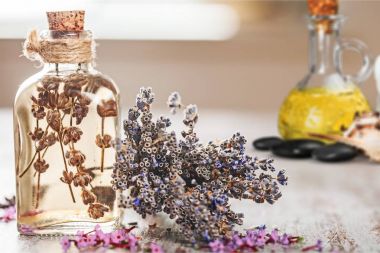 Lavanta bitki çiçek su 