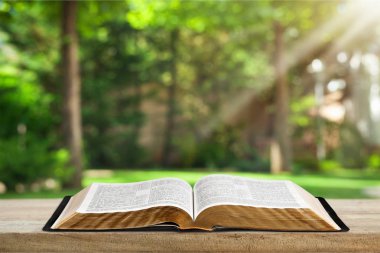 Masanın üzerinde kitabı aç