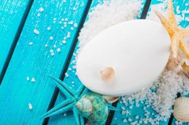 Seashell mavi ahşap zemin üzerine