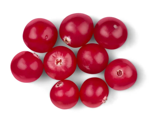 Arándanos rojos maduros —  Fotos de Stock