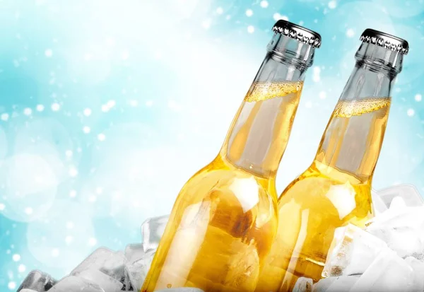 Butelki po piwie w lodzie — Zdjęcie stockowe