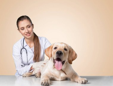  köpek hasta ile kadın doktor