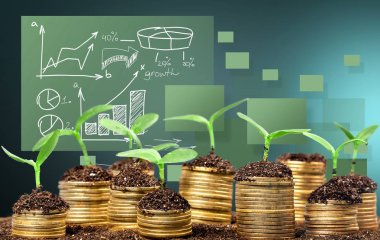 Genç bitkiler toprakla paralar