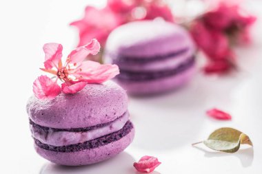 lezzetli renkli macaroons