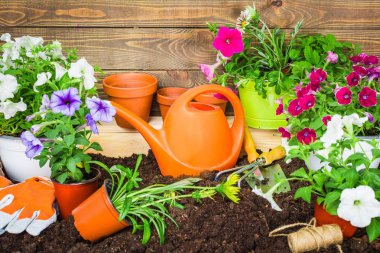 Bahçe araçları ve tencere arka plan üzerinde çiçekler