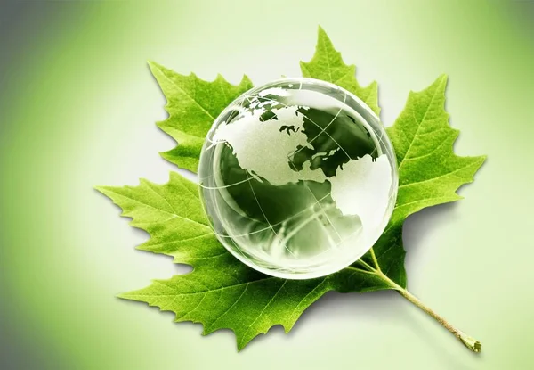 Glazen globe en groen blad — Stockfoto