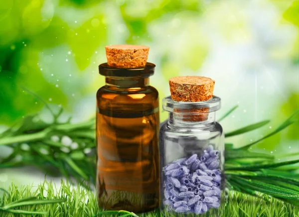 Flores de lavanda y aceite — Foto de Stock