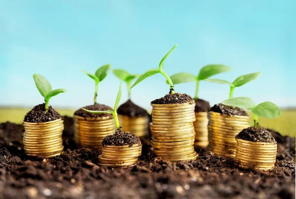 Pièces de monnaie dans le sol avec de jeunes plantes — Photo