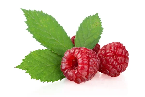Ripe raspberries with leaves Stock Picture