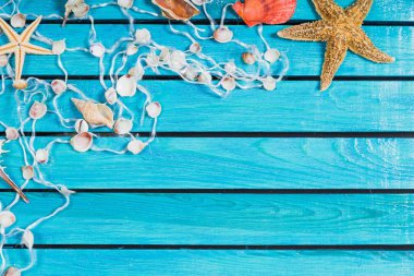 Seashell mavi ahşap zemin üzerine
