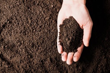 El, palm, ekili kir, toprak, toprak, kahverengi arazi arka plan toprakta. Organik bahçe, tarım. Doğa portre. Çevre doku, desen. Sahada çamur.