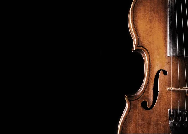 Violino classico in legno — Foto Stock