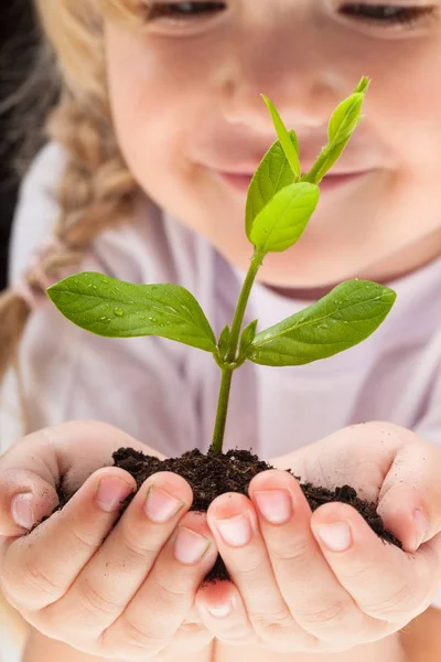 Kleines Mädchen Und Junge Pflanze — Stockfoto
