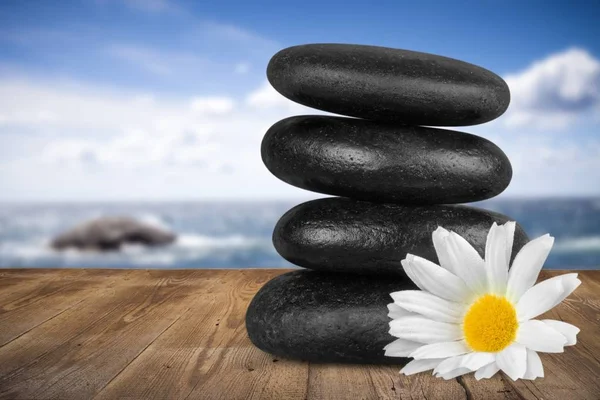 Zen bazalt taş ve çiçek — Stok fotoğraf