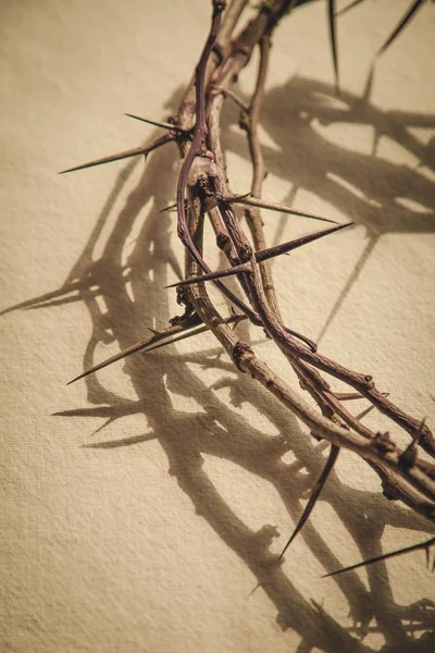 Crown of thorns on background — Stock Photo, Image