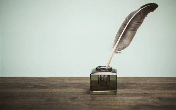 Fjäder quill pen och glas bläckhorn — Stockfoto