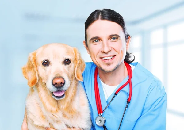 Doctor con lindo perro — Foto de Stock