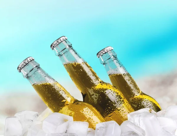 氷の中のビール瓶 — ストック写真
