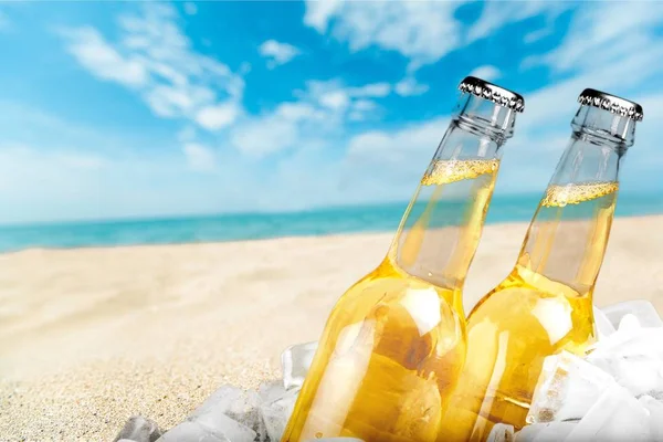 Botellas de cerveza en hielo —  Fotos de Stock