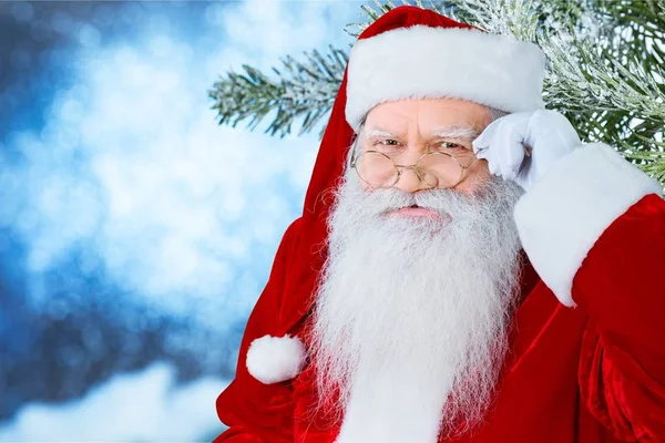 Portrét Santa Clause — Stock fotografie