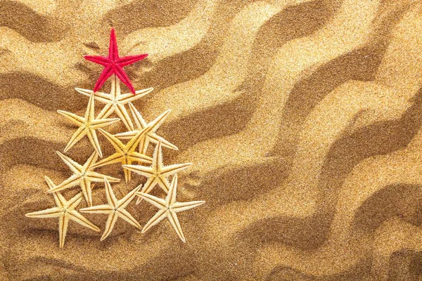 Fir tree made of sea stars