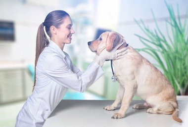 köpek ile genç hayvan hastalıklarıyla ilgili 