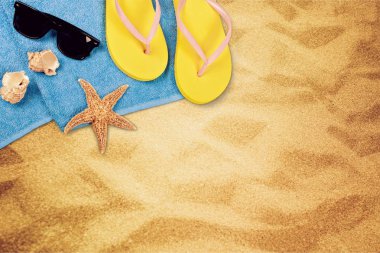 Deniz kabuğu ve mavi gökyüzü üzerinde flip-flop