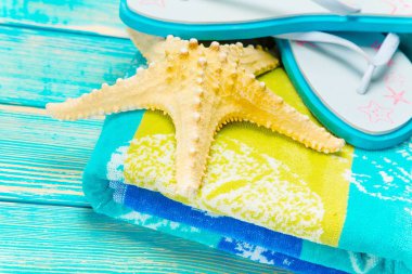 Seashell mavi ahşap zemin üzerine