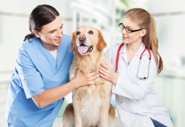köpek veteriner Kliniği