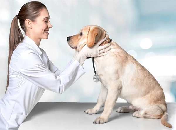 female doctor with dog patient