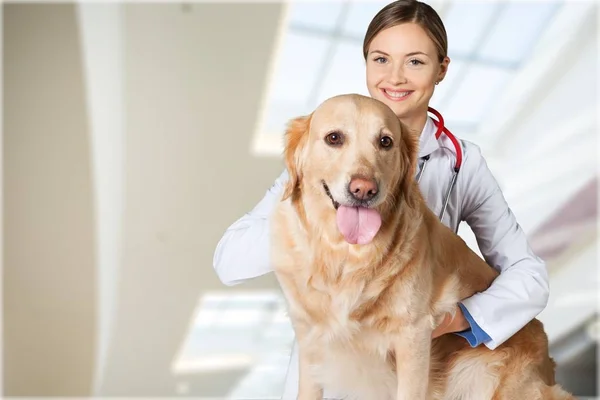 female doctor with dog patient