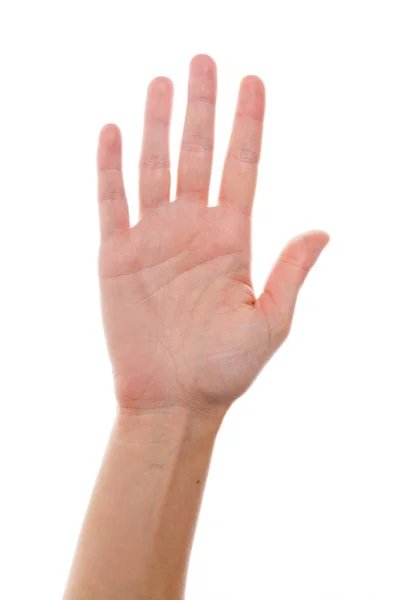 Öppna mänskliga palm — Stockfoto