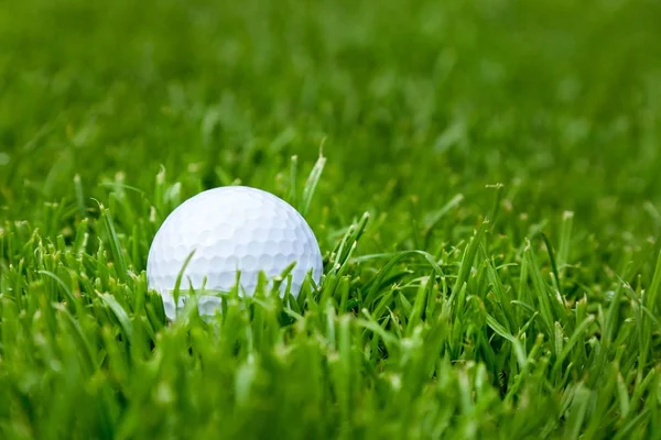 Golf Ball in grass — Stock Photo, Image