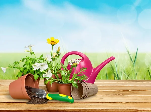 Flower Pot and gardening utensils — Stock Photo, Image