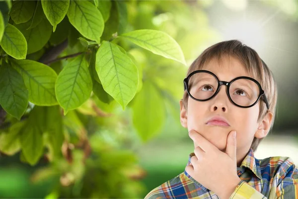 Young boy in  glasses — Stock Photo, Image