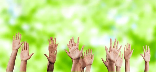 A lot of hands rising up — Stock Photo, Image