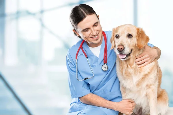 Arzt mit süßem Hund — Stockfoto