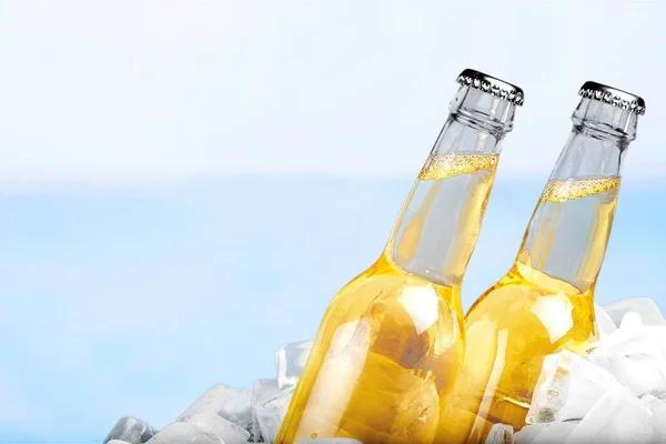Butelki po piwie w lodzie — Zdjęcie stockowe