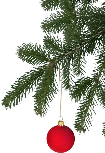 Υποκατάστημα Δέντρο Έλατο Χριστούγεννα Μπιχλιμπίδι Που Απομονώνονται Λευκό Φόντο — Φωτογραφία Αρχείου