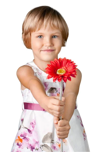 Крупный План Милой Маленькой Девочки Красным Цветком Изолированы Белом Фоне — стоковое фото