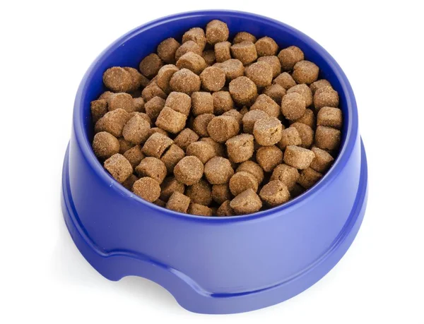 Nourriture pour chien dans un bol — Photo