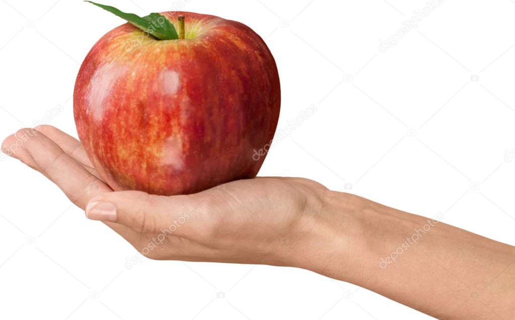 Hand holding big red apple isolated on white background 