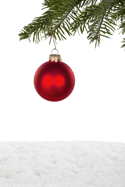 Rood bauble op fir kerstboom — Stockfoto