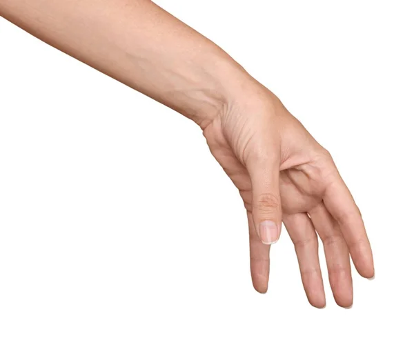 Wijfje Hand Geïsoleerd Witte Achtergrond — Stockfoto