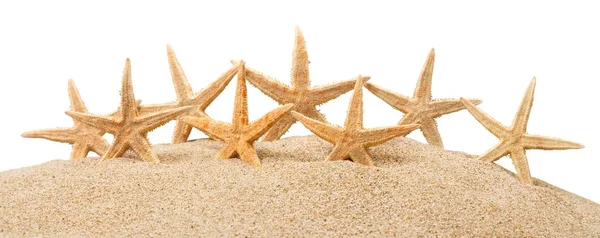 Starfishes com areia isolada — Fotografia de Stock