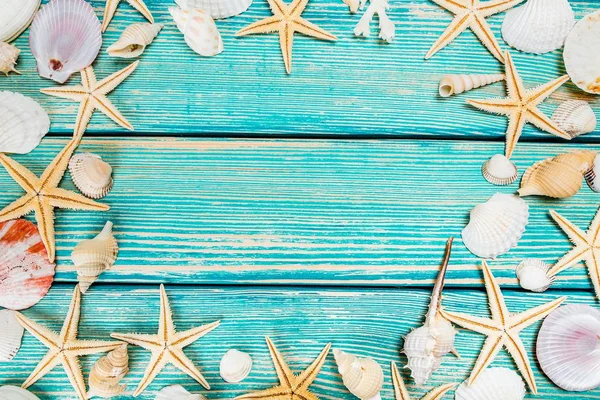 Seashells e estrelas do mar em azul — Fotografia de Stock