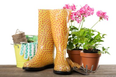 Pot ve Bahçe eşyaları çiçek