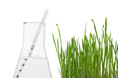 Beyaz zemin üzerine yeşil çim ve test şişesi 