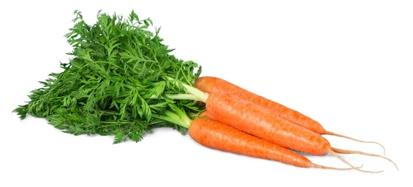 Купа стиглої моркви — стокове фото