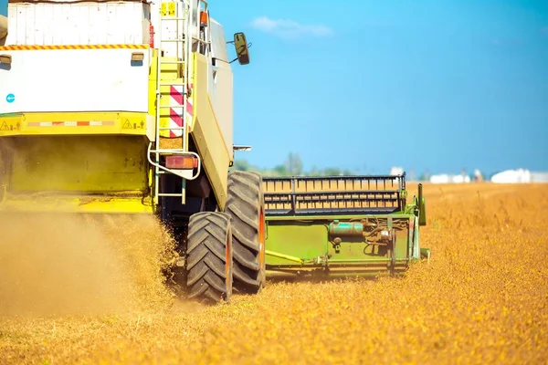 Combine a máquina no campo da fazenda — Fotografia de Stock